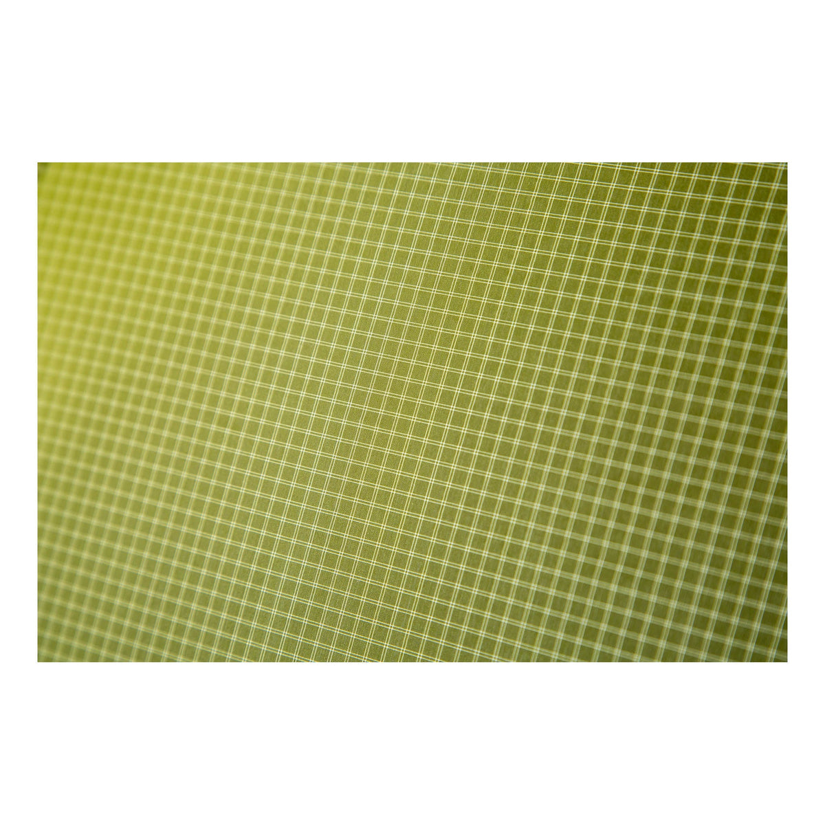 Dragonfly OSMO 2P Tent NEMO Equipment 811666037534 Tents 2P / Birch Bud