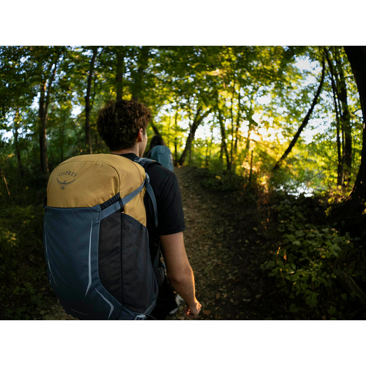 Hikelite 26 Osprey 10007549 Backpacks 26L / Tungsten-Yellow