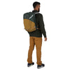 Nebula 32 Osprey 10005364 Backpacks 32L / Green Tunnel/Brindle Brown