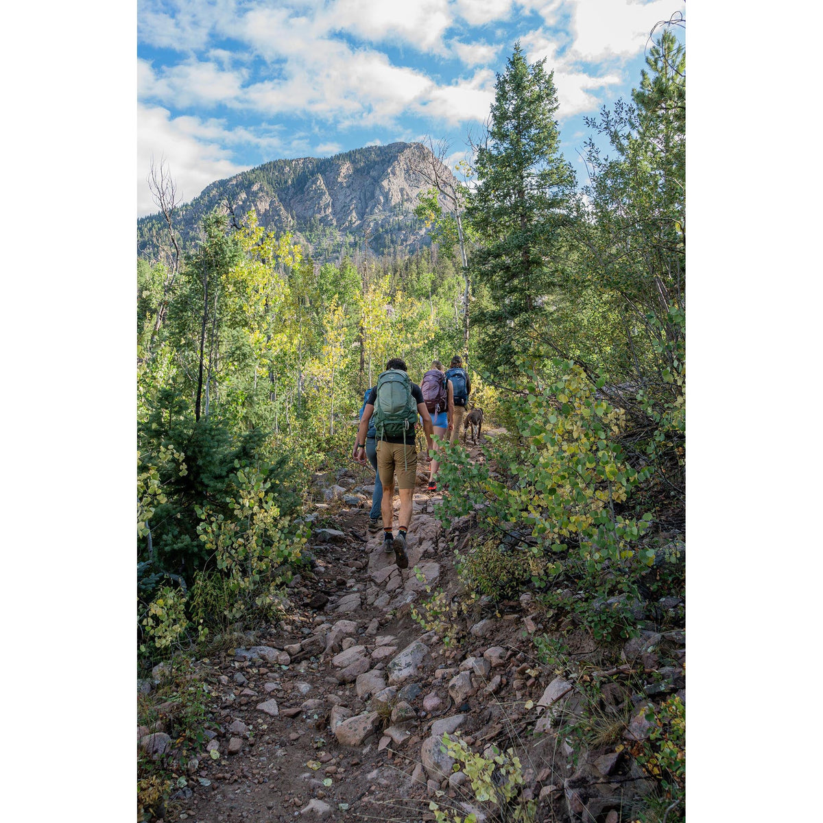 Stratos 34 | Men's Osprey 10007531 Backpacks OS / Pine Leaf