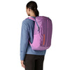 Black Hole Pack 25L Patagonia 49298-BKPL-ALL Backpacks 25L / Brisk Purple