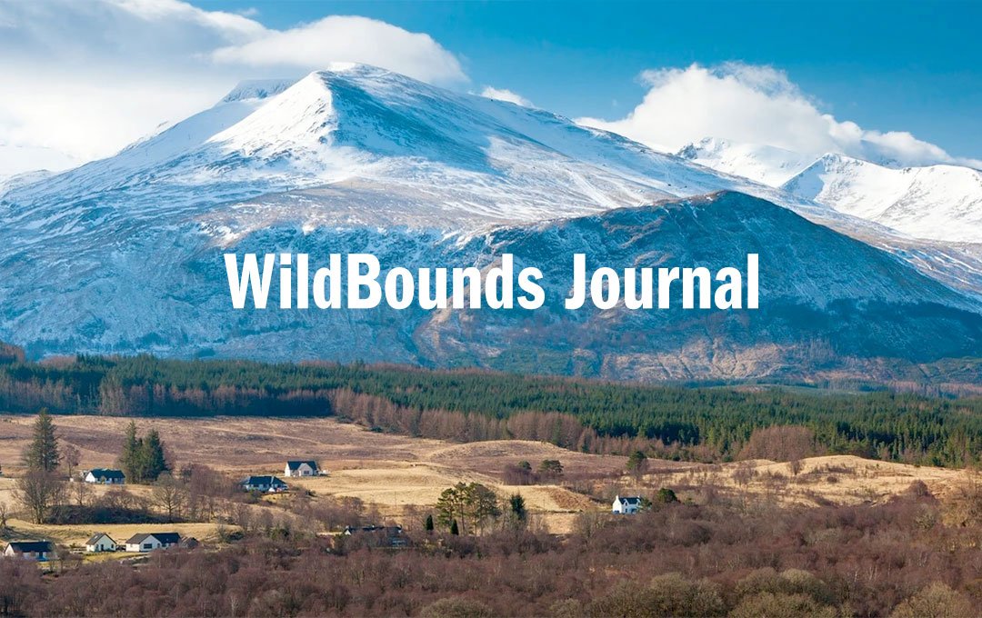 Snow-capped mountain with forested valley and scattered houses below, WildBounds Journal text overlay.