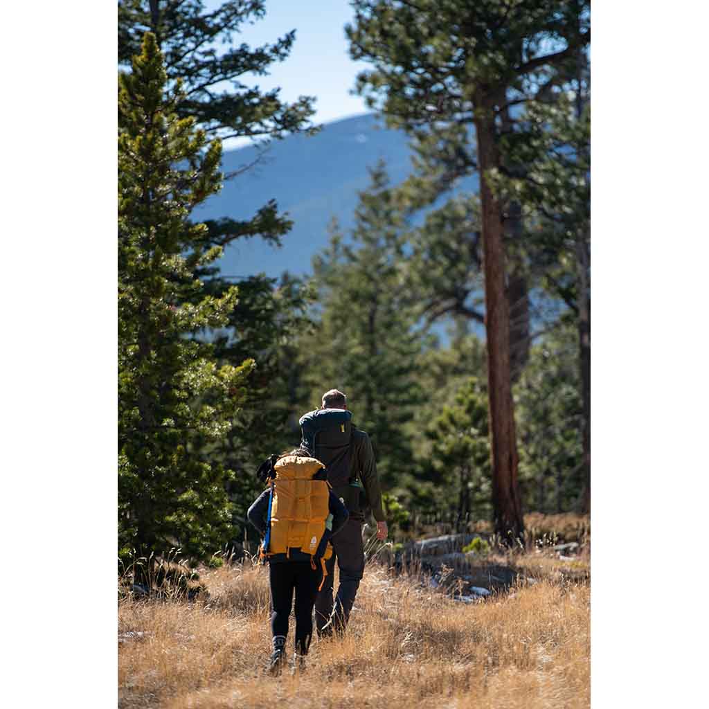 Flex Capacitor 60-80L Backpack with Waist Belt Sierra Designs 80710123PT-M/L Backpacks Medium/Large / Peat