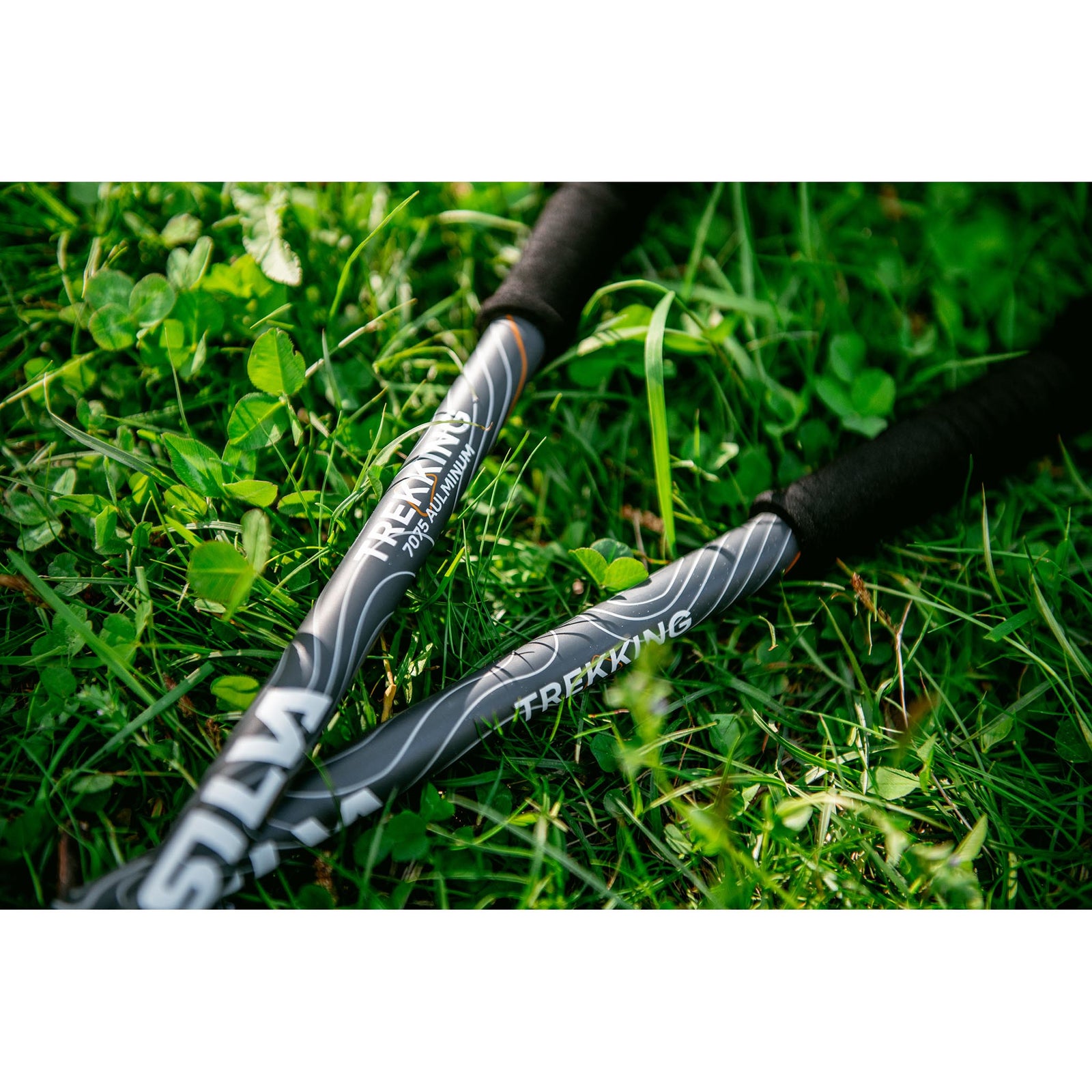 Trekking Poles Alu | Cork | 140cm Silva 38121 Walking Poles 140cm / Black