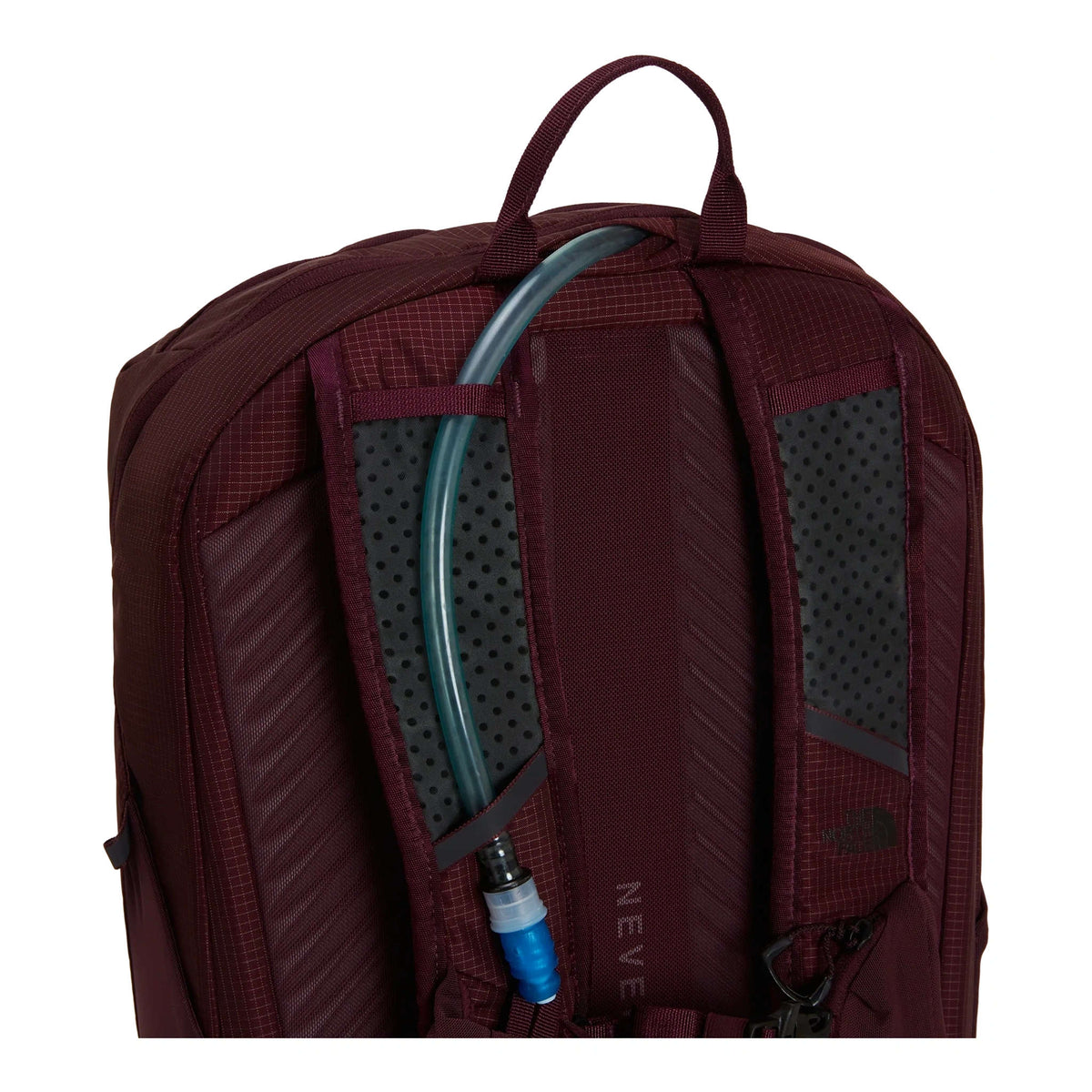 Borealis Trail Backpack The North Face NF0A8E9ZNO4-OS Backpacks 28L / Deep Burgundy