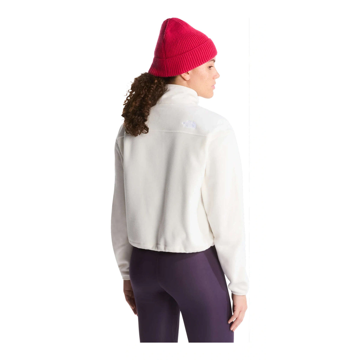 Novelty Logo Glacier | 1/4 Zip | Women's The North Face Women's Fleece Jackets