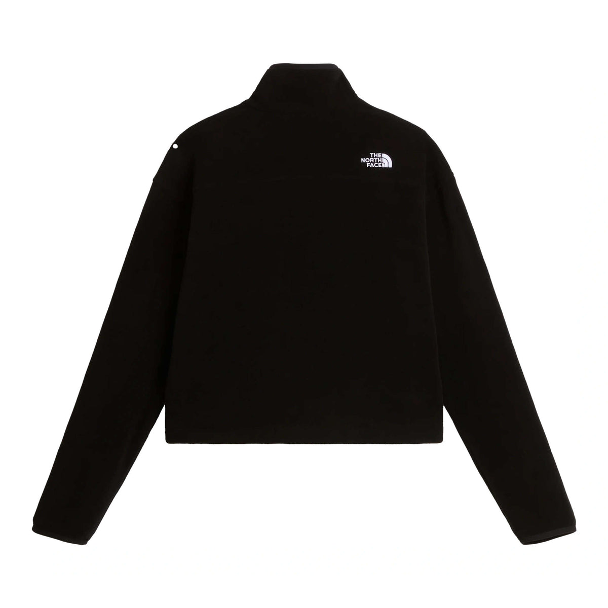Novelty Logo Glacier | 1/4 Zip | Women's The North Face Women's Fleece Jackets