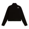 Novelty Logo Glacier | 1/4 Zip | Women's The North Face Women's Fleece Jackets