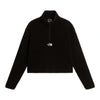 Novelty Logo Glacier | 1/4 Zip | Women's The North Face Women's Fleece Jackets