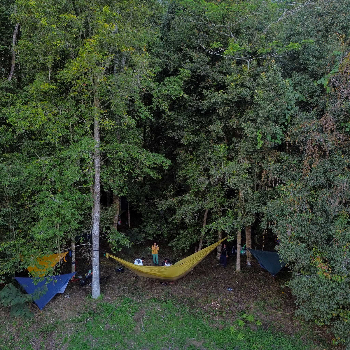 Mammock Hammock Ticket To The Moon TMM4323 Hammocks 800 x 450 cm / Olive Brown/Sparkling Gold
