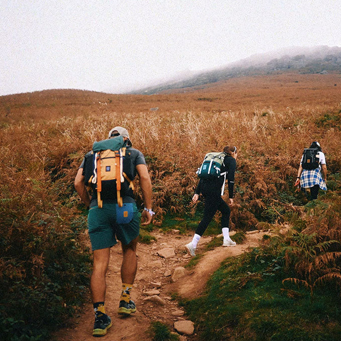 Rover Pack Classic Topo Designs 932436354 Backpacks 20L / Forest/Goldenrod
