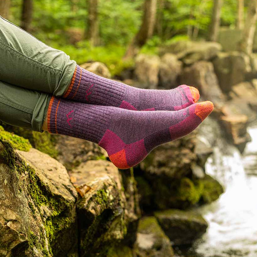 Hiker Micro Crew Midweight | Cushion | Women's Darn Tough Socks