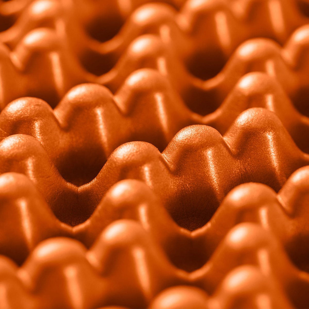 Switchback Regular Camping Mat NEMO Equipment 814041019347 Camping Mats Regular / Sunset Orange