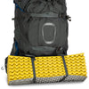 Aether Plus 85 Backpack | Men's Osprey Backpacks