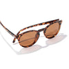 Dipsea Sunski SUN-DS-TAM Sunglasses One Size / Tortoise/Amber